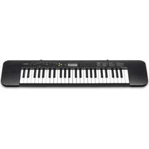 y[7`10zCTK-240 [CASIO JVI] L[{[h [CTK240] 62113001