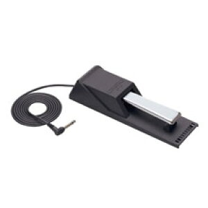 y[7`10zSP-20 [CASIO JVI] TXeBy_ [SP20] 0620626017