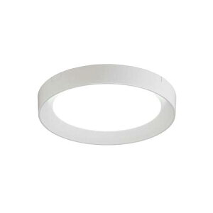 �y�[����2�T�ԁz�A�C���X�I�[���} SCL150D-DU LED���^���^�V�[�����O���C�g 1500lm�i�����F�j �z���C�g SCL150DDU