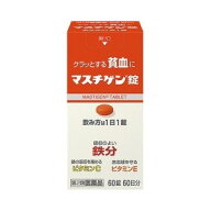 【納期約2週間】【お一人様3点まで】【第2類医薬品】 マスチゲン錠 60錠入