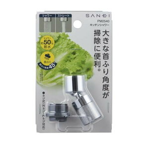 y[7`10zTGC SANEI PM2540 Lb`V[