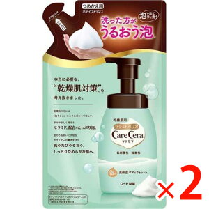 y[2Tԁz(167296)x2 [g PAZ A̍ێ{fBEHbV l 385mL ×2