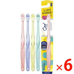 y[3Tԁz(216266)x6 TX^[ Ora2 me(I[c[~[) nuV XpCLb`ӂ uV ×6