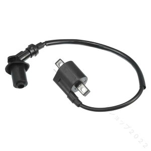 X AUTOHAUX �I�[�g�o�C CDI �_�΃R�C�� �G���W�� �_�΃R�C�� CG 125cc 150cc 200cc 250cc ATV �_�[�g�o�C�N�S�[�J�[�g 1 �� �o�C�N�p�i �_�Όn�p�[�c �������i �C�� �����e�i���X