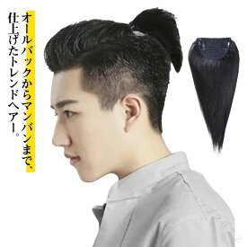 ポイントウィッグ ハーフアップ メンズウィッグ 男性 自然 人毛 ロング マンバン ゆるふわ オールバック お洒落 おしゃれ かつら カツラ 紳士 原宿 ハーフアップ 部分ウィッグ メンズヘ