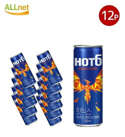 【送料無料】ロッテ HOT6 エナジードリンク 250ml×12本