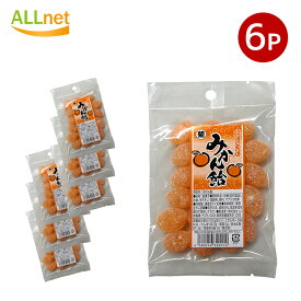 【全国送料無料】山本製菓 みかん飴 90g×6袋セット