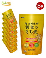 【8袋】西田精麦 九州産 黄金のもち麦 500g×8(合計4kg)【一部地域 送料無料】｜もち麦 食物繊維豊富 腸…
