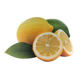 イタリア製 NUOVA R2S テーブルマット2枚セット レモン柄 ラウンドテーブルマット 30×47cm