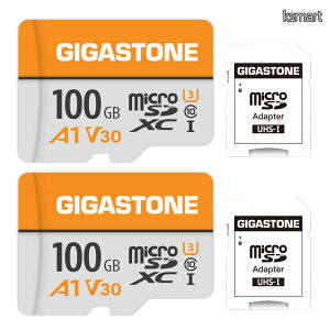 �y���������zGIGASTONE �}�C�N��sd�J�[�h 100GB 2�Z�b�g microSDXC A1 V30 U3 C10 100MB/s �A�N�V�����J���� �X�|�[�c�J���� 4K Ultra HD �r�f�I �B�e SD�A�_�v�^�[2���t��