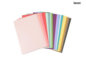 �y���������z�J�[�h�X�g�b�N �A�\�[�g �}���`�J���[ 80���� Surfacez Cardstock 8 1/4 X 11 3/4 20 Assorted Colors 80 Sheets 663007