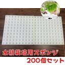 水耕栽培　発芽用スポンジ　200個分　ホワイト/ブラック　苗の初期育成に最適