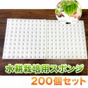 水耕栽培　発芽用スポンジ　200個分　ホワイト/ブラック　苗の初期育成に最適　レタス サニーレタス 水菜 など葉物野…