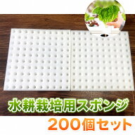 水耕栽培　発芽用スポンジ　200個分　ホワイト/ブラック　苗の初期育成に最適　レタス サニーレタス 水菜…