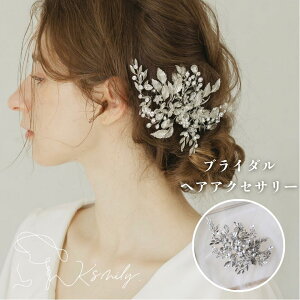 yzuC_ wbhhX {l rW[ AeB[N FVo[ EFfBO wAANZT[ ԉ   OB 񎟉 CO l p[eB[ wbhA