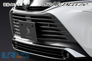 SilkBlazey80nnA[zop[_NgK[jbV