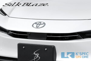 SilkBlazey60nvEXzAbp[OK[jbV