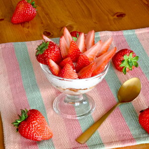 ACXN[ [Og fU[g Jbv Borgonovo {Sm{ WFbg WF[g 100×H85mm (190ml)   ag JtF o[  ze oPbg EW At^k