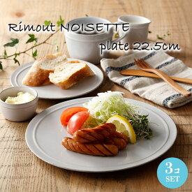 お皿 丸皿 中皿 3枚セット おしゃれ 可愛い 北欧風 Rimout NOISETTE リモート ノワゼット プレート240 Φ240×H15mm【食器洗浄機対応】【電子レンジ対応】