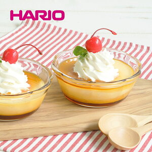 HARIO nI  XC[c {E 300 4Zbg 120×H50mm(300ml) ϔM KX   JtF  a NX}X j Mtg SWB-2412yH@ΉzydqWΉzyI