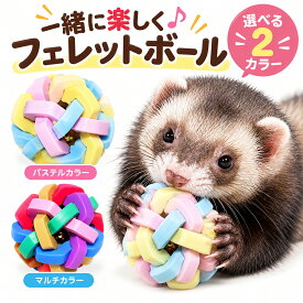 【2個以上で5％OFF】 フェレット おもちゃ 鈴入り ボール 直径6cm 柔らかい 弾力 TPR素材 小動物 犬 猫 歯固め 運動不足 ストレス解消 噛む 追いかける 鳴る 音が鳴る 洗える 清潔 かわいい ペット用品 子犬 超小型犬
