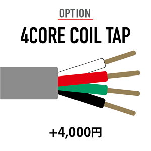 �y�I�v�V�����z4CORE COIL TAP�@�{4000�~