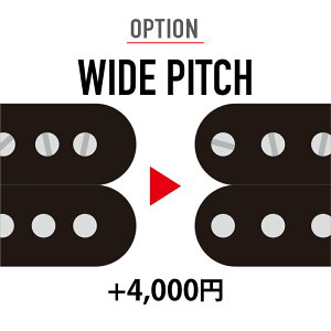 �y�I�v�V�����zWIDE PITCH�@�{4000�~