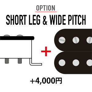�y�I�v�V�����zSHORT LEG & WIDE PITCH�@�{4000�~