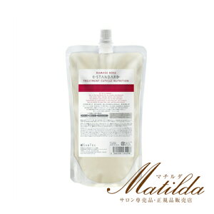 E STANDARD@CCX^_[h g[gg L[eBNj[gV _}XN[Y 500ml tByE STANDARD CCX^_[hzKi