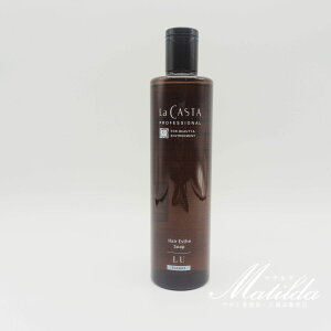 EJX^ vtFbVi wAGXe \[v LU 300mlyLa CASTAz