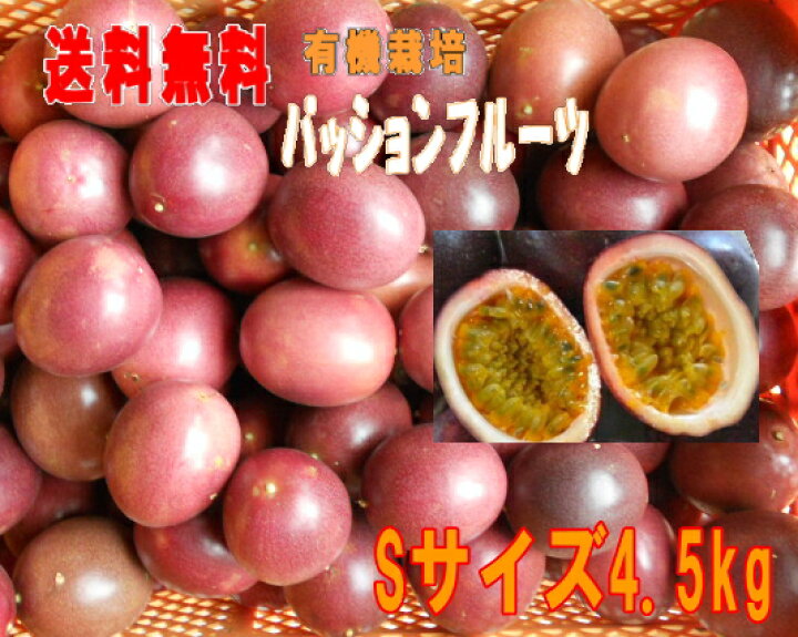 正規品送料無料 沖縄県産パッションフルーツ バラ5kg Www Tricostura Com Br