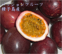 パッションフルーツ M~Lサイズ A品+B品混在6kg　70個前後有機栽培送料無料【別途送料　北海道・東北・沖縄】