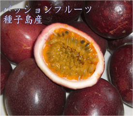 予約　パッションフルーツ M~Lサイズ A品+B品混在6kg　70個前後有機栽培送料無料【別途送料　北海道・東北・沖縄】