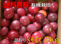 楽天市場】パッションフルーツ 2.5kgの通販