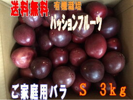 予約　パッションフルーツ3kg S玉50個前後秀品+規格外品バラ詰め 　種子島産送料無料【北海道・東北・沖縄別途送料が必要】