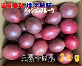 予約　パッションフルーツ M〜3L A品+B品混在 2kg バラ詰め22個前後入り 有機肥料栽培　送料無料【別途送料北海道・沖縄・東北】