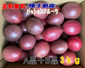予約　パッションフルーツ M〜3L A品+B品混在3kgバラ詰め33玉前後入り有機肥料栽 送料無料【北海道・東北・沖縄別途必要】