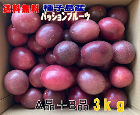 予約　パッションフルーツSサイズ 3kg 50個前後　A品+B品バラ詰め 　種子島産送料無料【北海道・東北・沖縄別途送料が必要】