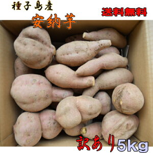 \1ʁ@󂠂[ qYTCYS`2L5kg@ykCEEkʓrKvz