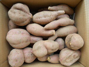 \1ʁ@󂠂 qY [ 3kg@TCYS`LTCYykCEkEʓrzqYn