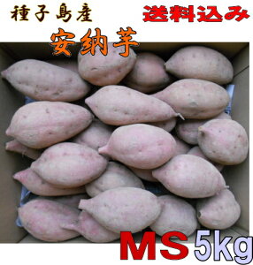 \1ʁ@@[gMSTCY5kgykCEEkʓrzqY