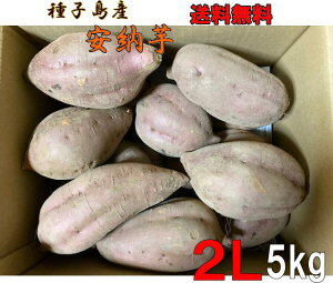 [gqY@2LTCY5kg݁ykCEkEʓrKvz