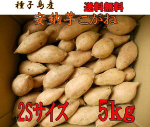 qY@[  2STCY5kg@ykCEkEʓrƂȂ܂z