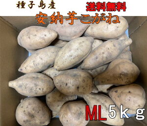 \1ʁ@qY@[ M LTCY5kgyʓr@kCEkEKvz
