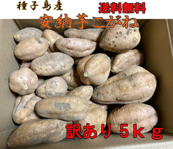 楽天市場】訳あり安納芋こがね5kg LL混在 送料無料 種子島産【北海道 