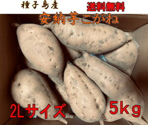 \1ʎqY@ [2LTCY5kg@ykCEEkʓrƂȂ܂zޕ]4.5ȏ