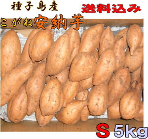 \1ʁ@qY@[  STCY5kg@ykCEkEʓrƂȂ܂z