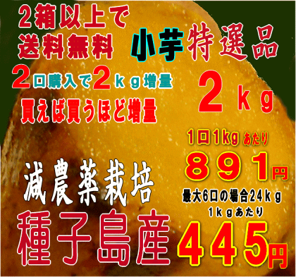 【安納芋】種子島産蜜芋安納芋選別済みA品プチプチサイズ小芋5kg芋類評価4.6以上の信頼