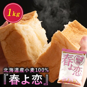 t 100% 1kg ͕ Y͕ Y Y   z[x[J[ p kCY p pޗ 1L `bNt