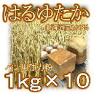 【 送料無料 】 はるゆたか 100% 10kg （1kg×10袋） 強力粉 はるゆたか100 ハルユタカ 小麦 小麦粉 パン…